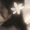 nii_fangril