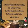 ben.yine.ben24