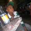 gage_spliff