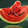 tuzza68