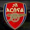 ጋሽ አርሰናል
