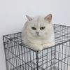 sudah_bergabung.com