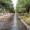 mahrim0162