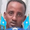 kabarey7