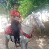 carlosjosepereira707