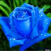 hussen.shkr