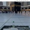 trteelali.ali