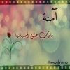 amina.bourihane