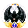 alion.motafal