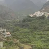:.زينب