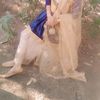 tayyba.noor49