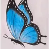 bleu.butterfly1