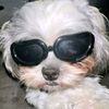 fatma.emad62