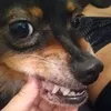 matildaexpressiva