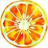 orangekiwi00
