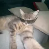 eodavidzinkkk