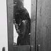 clarinhaav7