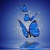 user6810292532625