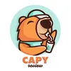 capyreview2103
