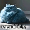 zalupaxxx8