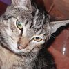 alyne122_10michis
