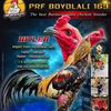 PRF BOYOLALI 169