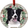 Bordie Collie World