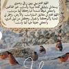 ahmedebrahimahm36
