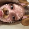 zllmsss1