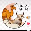 kingramadhan988988877987