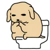 chimtolonnho_