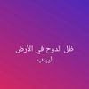 mohamednooor66