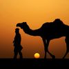 riyadh.tunsien