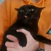 luk.provaznk
