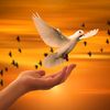 huzur3567