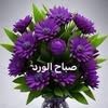user8131307205340