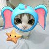 c.cat.toxic