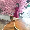 phuonganhqn80