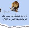 malek59511