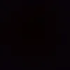 leo_cod3