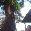 osmar.gonalves.de4