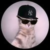 nishhhhhhh_jj