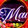 hoarauma743