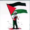 hmshamimahemed