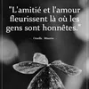 isaia.virginie