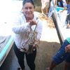 yesi23646