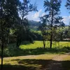 surynamiy