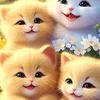 nhtvp1