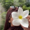 fadwa12440