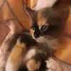 lenka.krl3